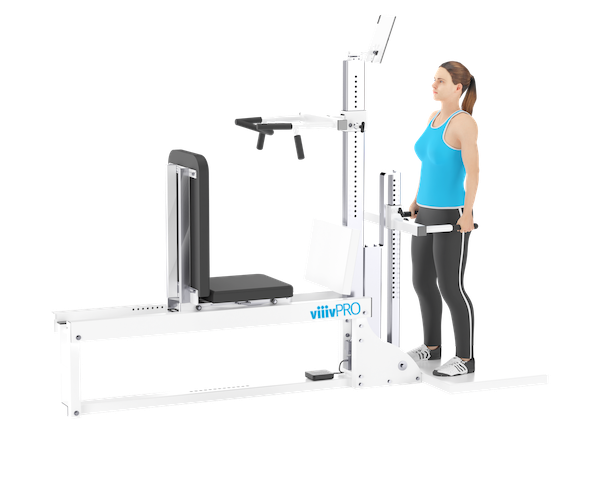 isometric exercises for seniors